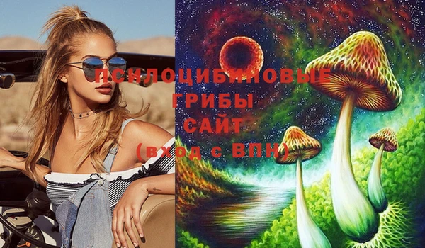 тгк Алексеевка
