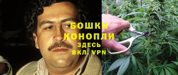 a pvp Алексин