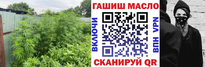 Купить закладки  Ижевск  ТГК Wax 